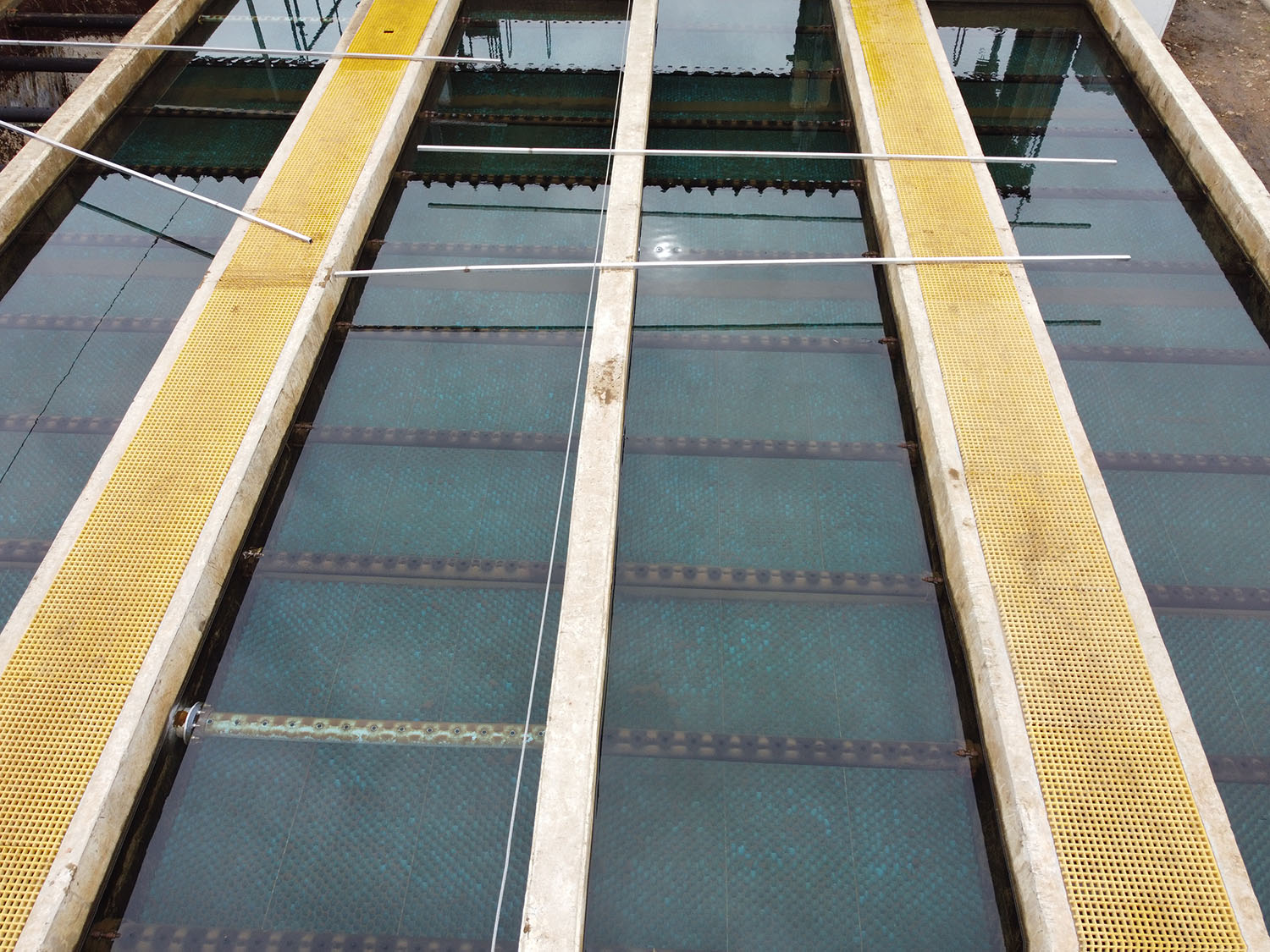 imaspa-concon-portada